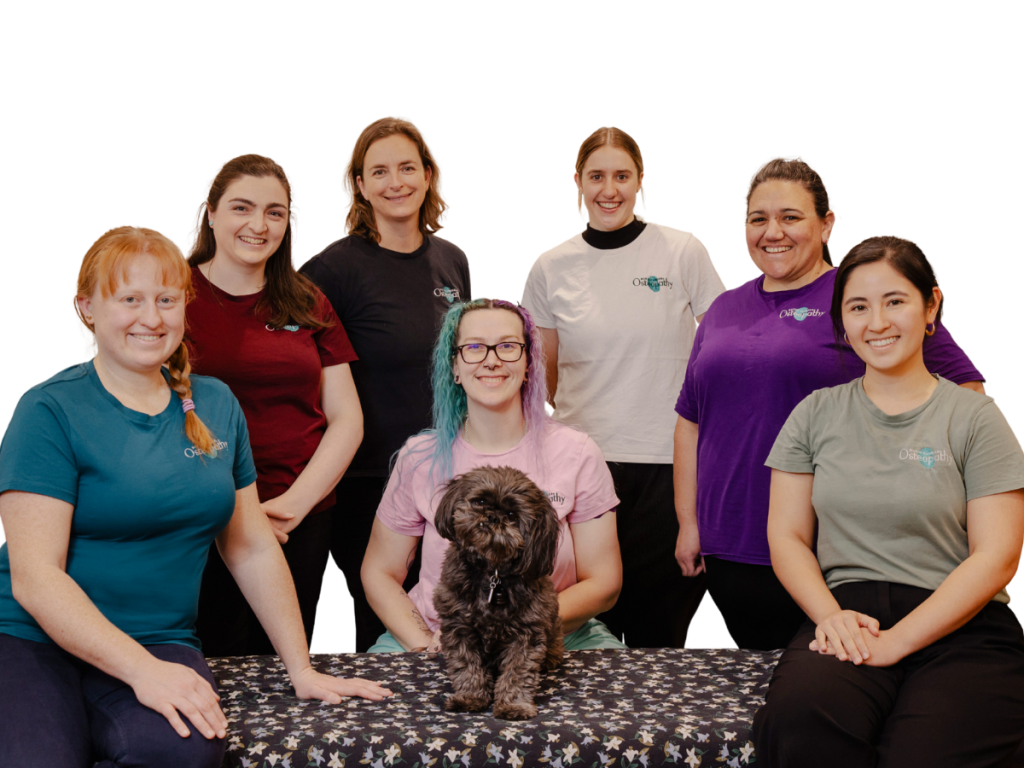 Team Photo 3